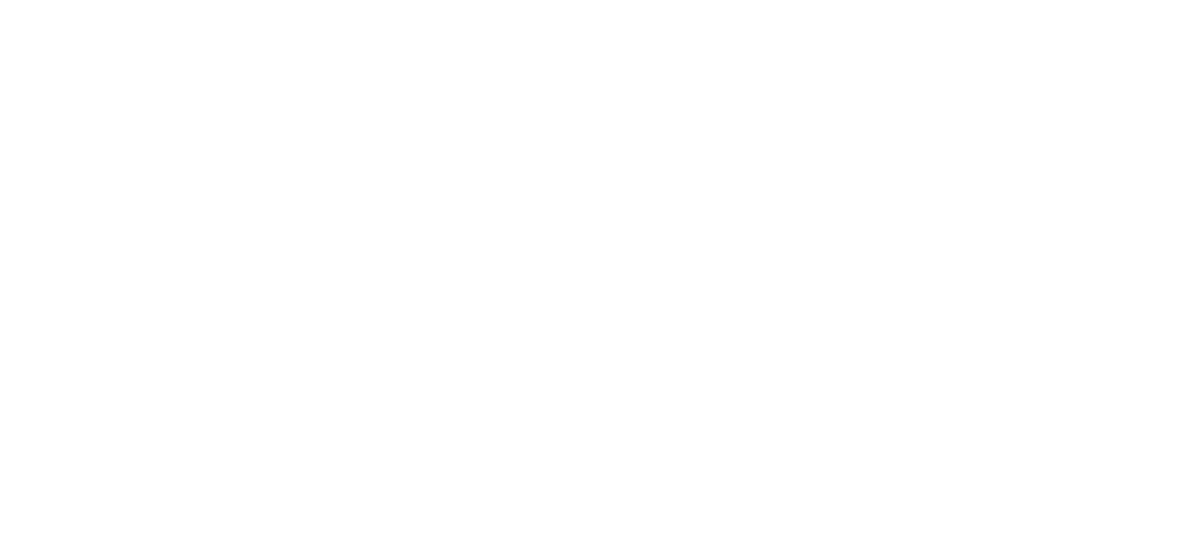 aver logo