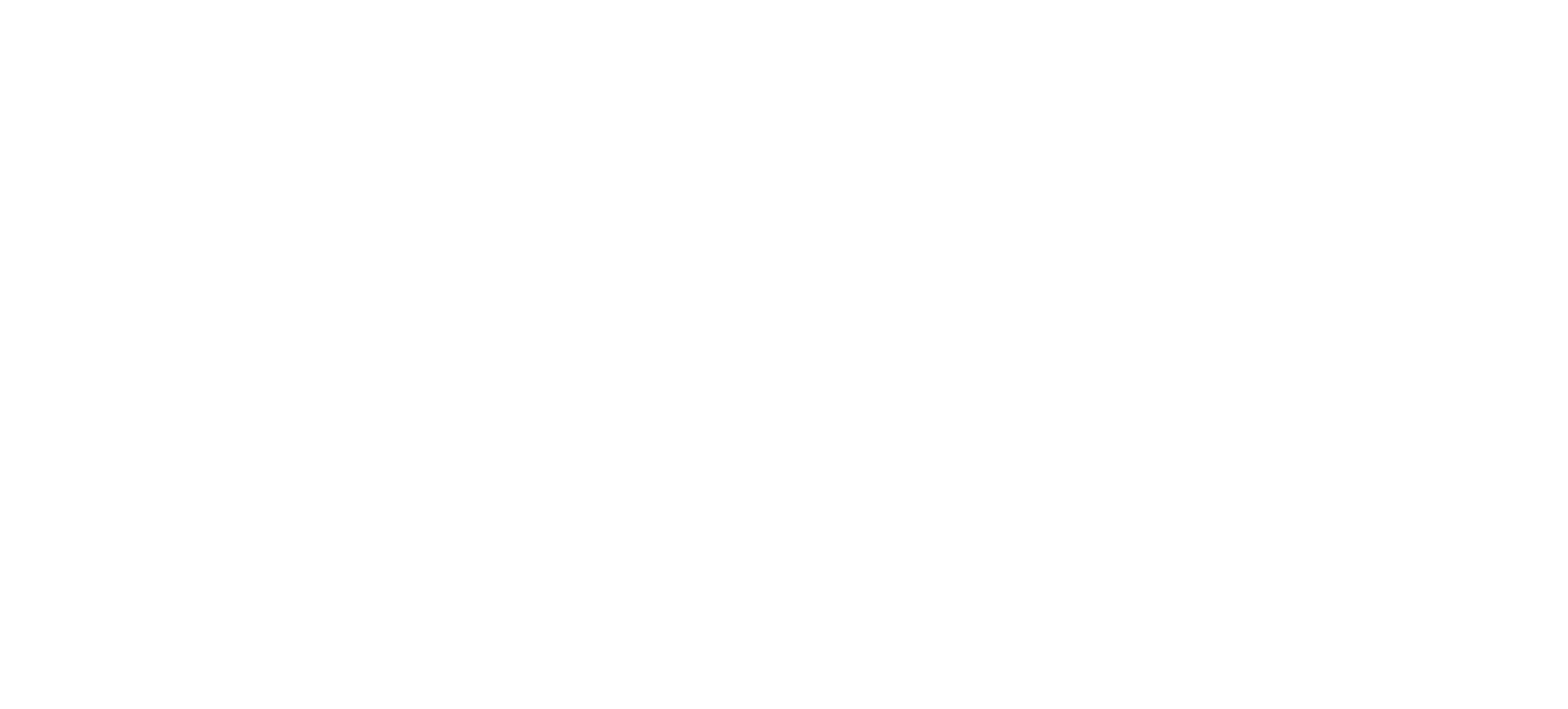 bose logo